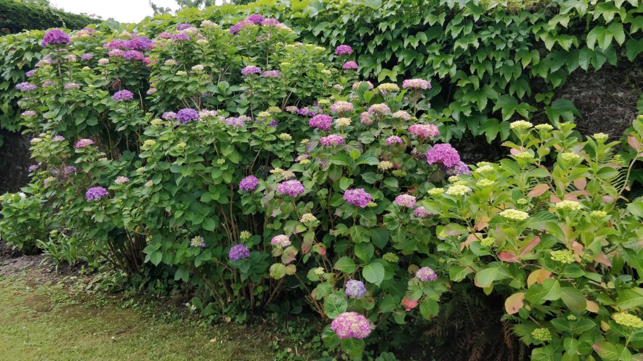 T1 Ou T2 Dans Villa Avec Jardin Proche Biarritz Anglet Ngoại thất bức ảnh
