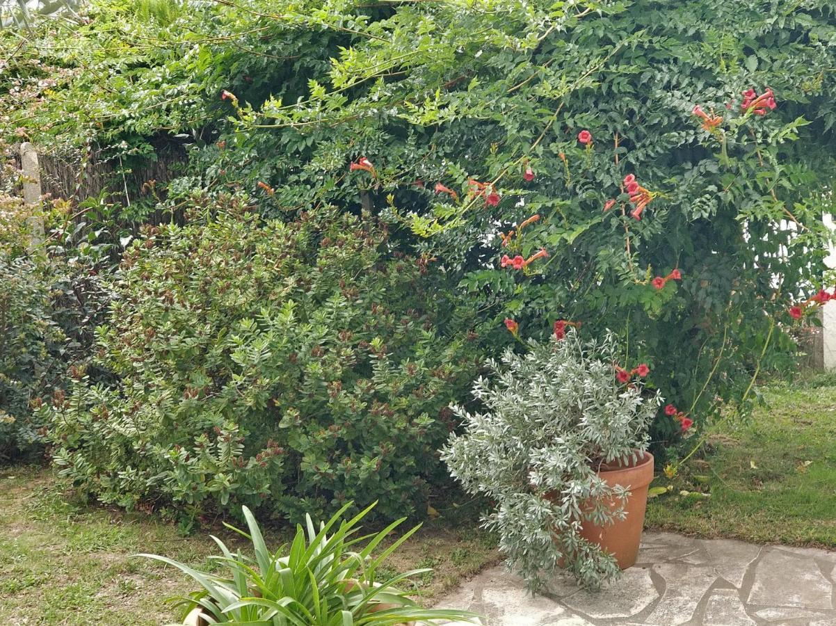 T1 Ou T2 Dans Villa Avec Jardin Proche Biarritz Anglet Ngoại thất bức ảnh