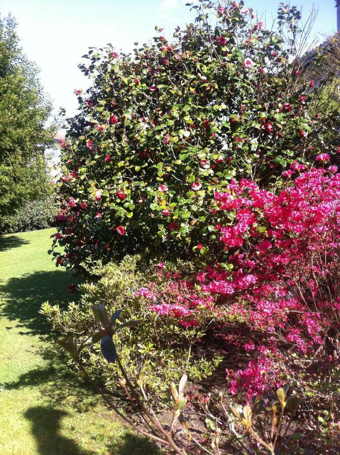 T1 Ou T2 Dans Villa Avec Jardin Proche Biarritz Anglet Ngoại thất bức ảnh